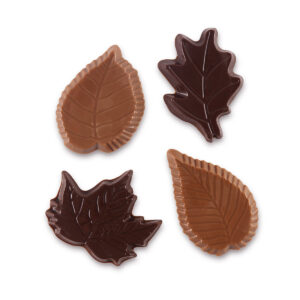 MDC FEUILLES D'AUTOMNE - 340x205